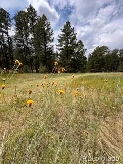 E Park Drive Franktown, CO 80116