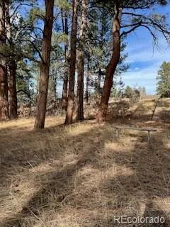 E Park Drive Franktown, CO 80116