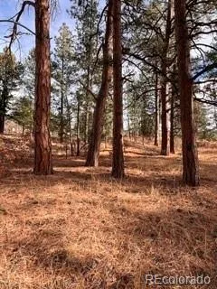 E Park Drive Franktown, CO 80116