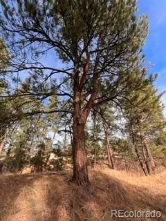 E Park Drive Franktown, CO 80116
