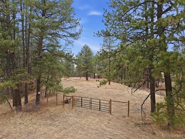 E Park Drive Franktown, CO 80116