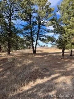 E Park Drive Franktown, CO 80116