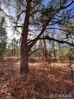 E Park Drive Franktown, CO 80116