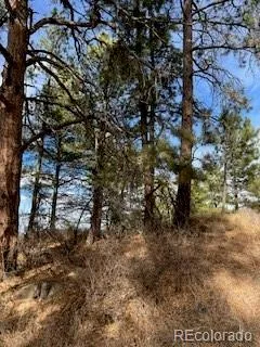 E Park Drive Franktown, CO 80116