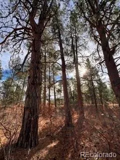 E Park Drive Franktown, CO 80116