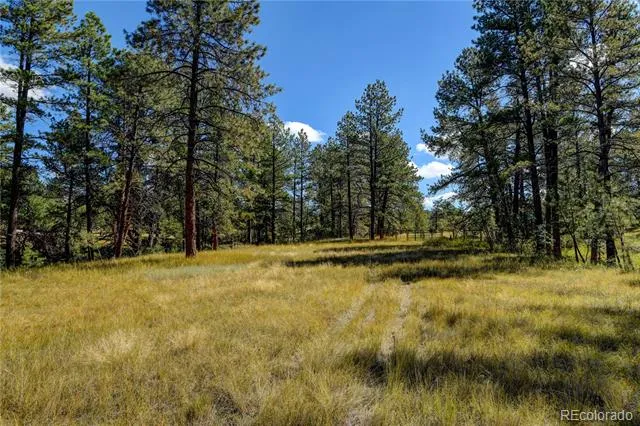 E Park Drive Franktown, CO 80116