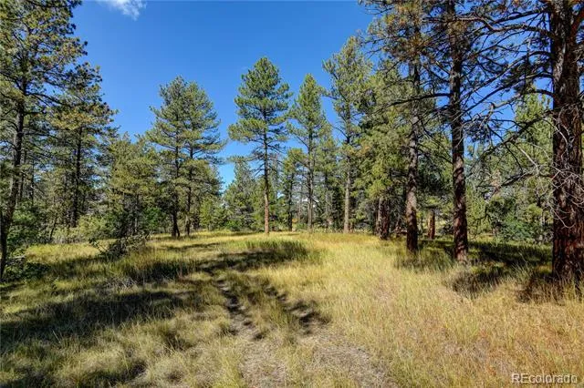 E Park Drive Franktown, CO 80116