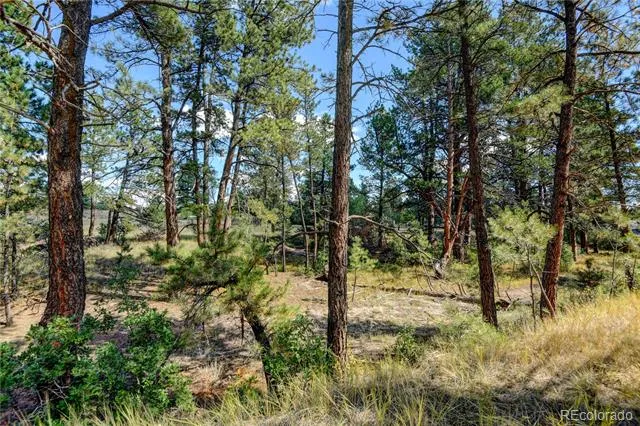 E Park Drive Franktown, CO 80116