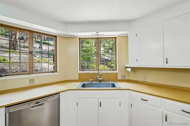 11793 Braun Way Conifer, CO 80433