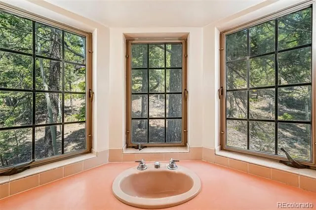11793 Braun Way Conifer, CO 80433