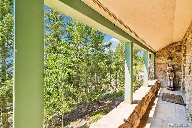 11793 Braun Way Conifer, CO 80433