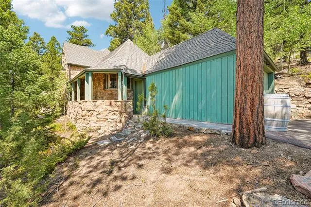 11793 Braun Way Conifer, CO 80433
