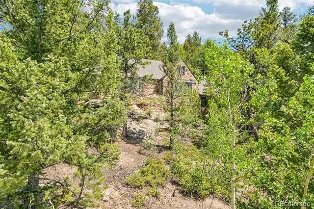 11793 Braun Way Conifer, CO 80433