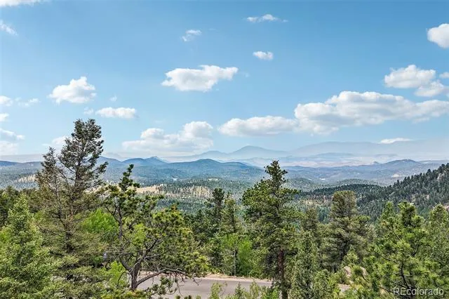 11793 Braun Way Conifer, CO 80433