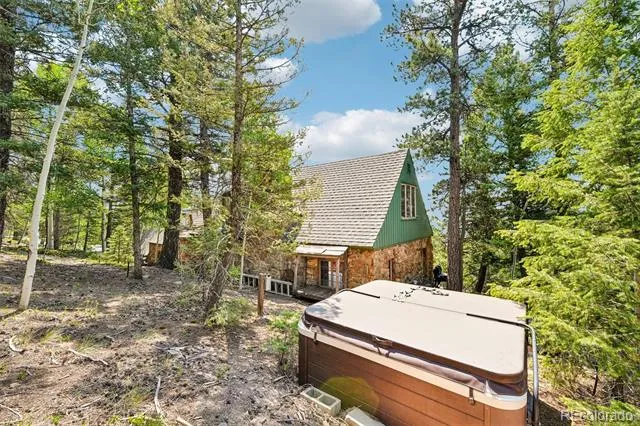 11793 Braun Way Conifer, CO 80433