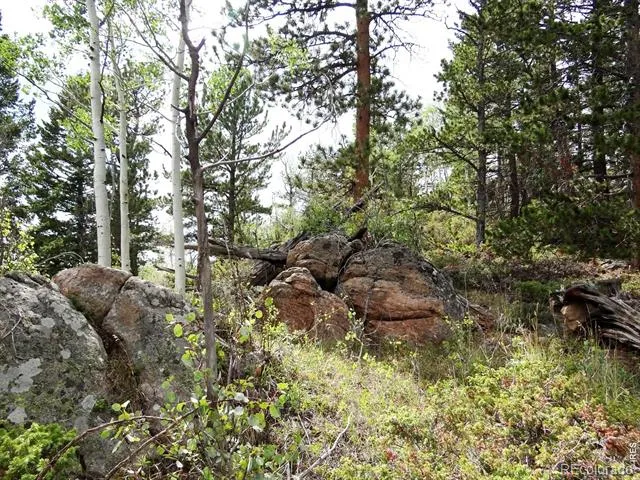115 Wenro Court Red Feather Lakes, CO 80545
