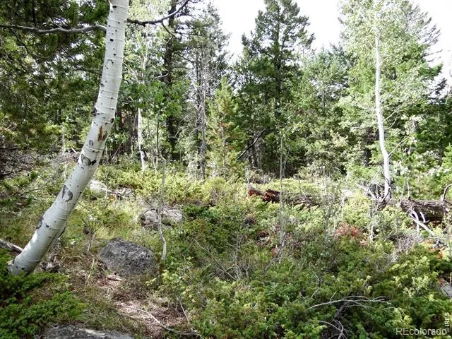 115 Wenro Court Red Feather Lakes, CO 80545