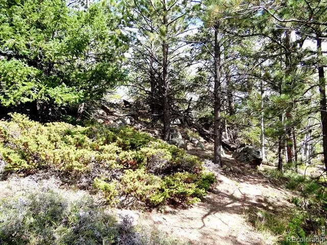 115 Wenro Court Red Feather Lakes, CO 80545