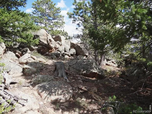 115 Wenro Court Red Feather Lakes, CO 80545