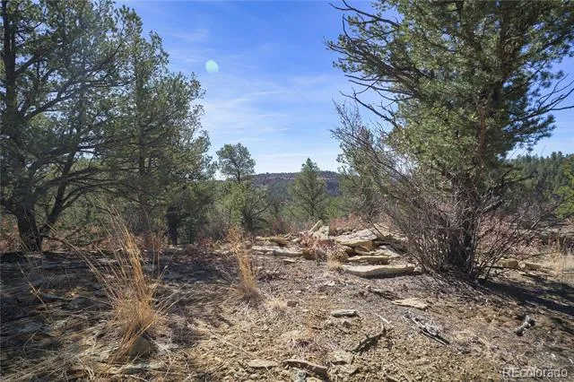 Rancho La Garita Lot 1129 Weston, CO 81091