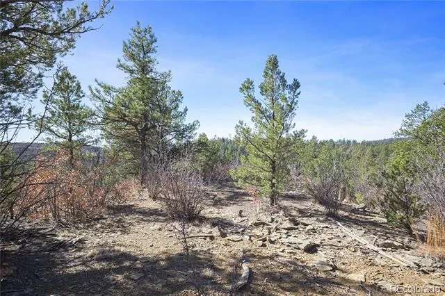 Rancho La Garita Lot 1129 Weston, CO 81091