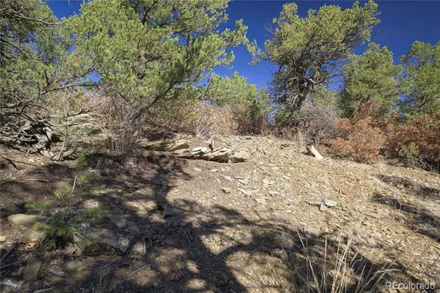 Rancho La Garita Lot 1129 Weston, CO 81091