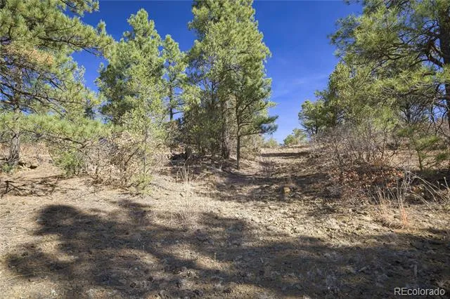 Rancho La Garita Lot 1129 Weston, CO 81091