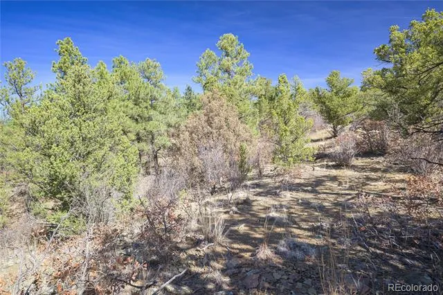 Rancho La Garita Lot 1129 Weston, CO 81091