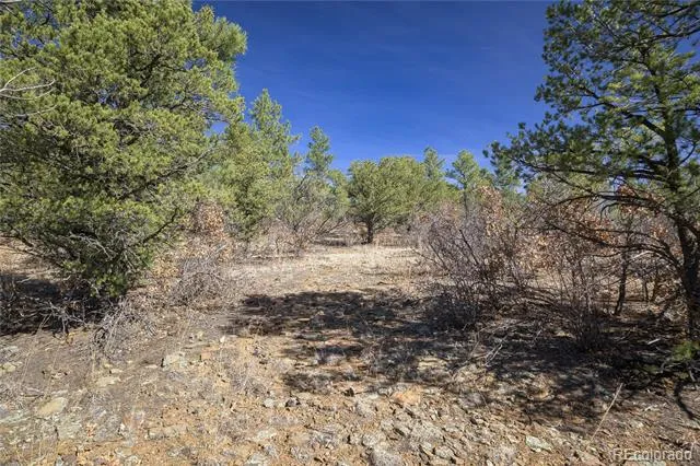 Rancho La Garita Lot 1129 Weston, CO 81091