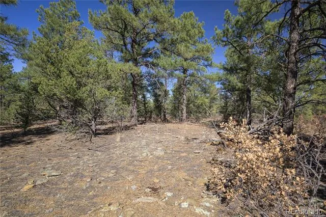 Rancho La Garita Lot 1129 Weston, CO 81091