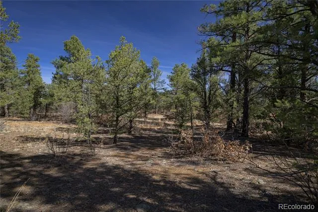 Rancho La Garita Lot 1129 Weston, CO 81091