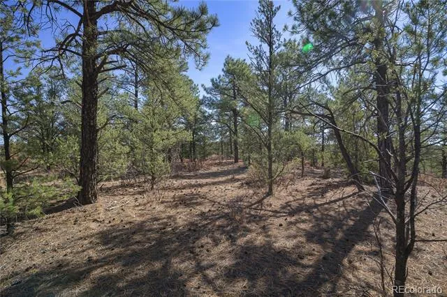Rancho La Garita Lot 1129 Weston, CO 81091