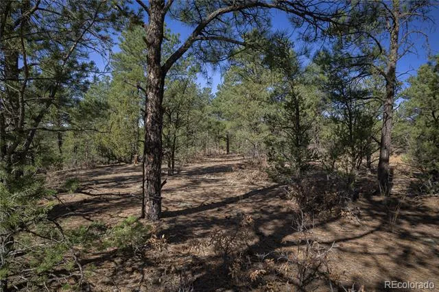 Rancho La Garita Lot 1129 Weston, CO 81091