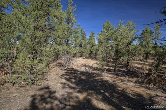 Rancho La Garita Lot 1129 Weston, CO 81091