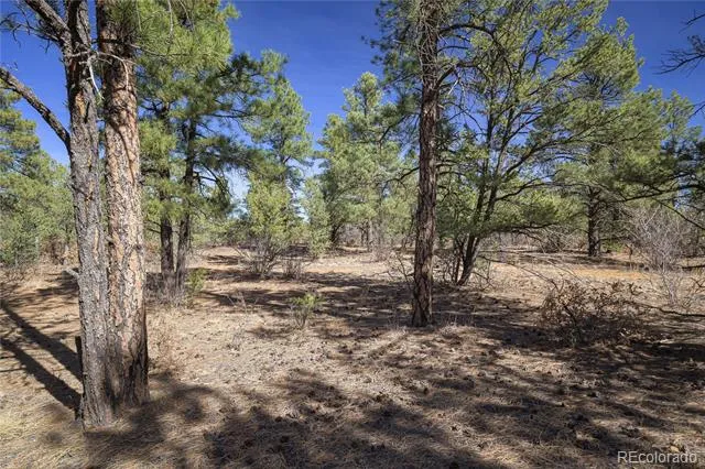 Rancho La Garita Lot 1129 Weston, CO 81091