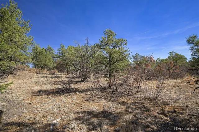 Rancho La Garita Lot 1129 Weston, CO 81091