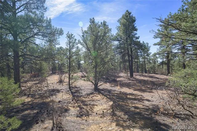 Rancho La Garita Lot 1129 Weston, CO 81091