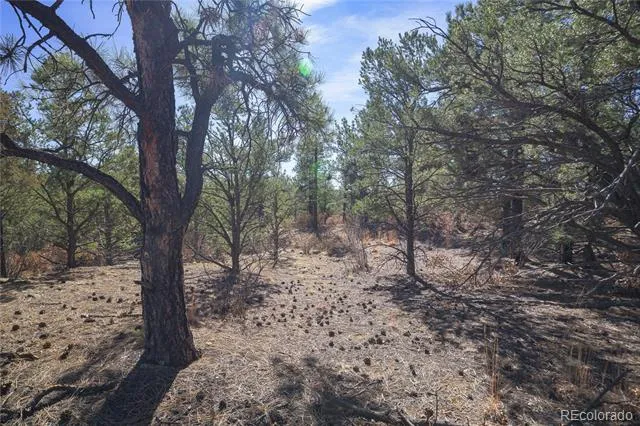Rancho La Garita Lot 1129 Weston, CO 81091