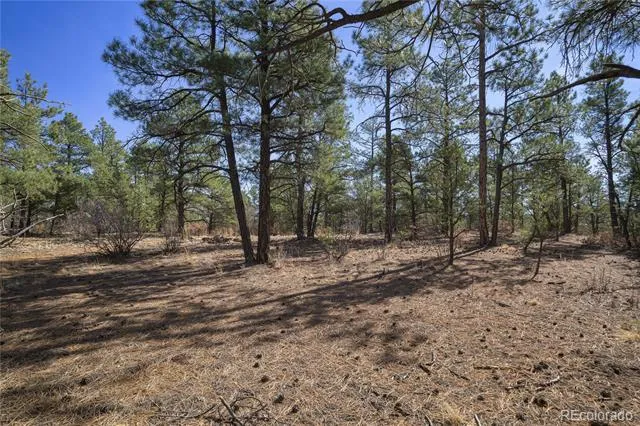 Rancho La Garita Lot 1129 Weston, CO 81091
