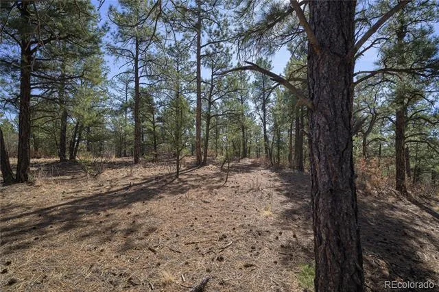Rancho La Garita Lot 1129 Weston, CO 81091