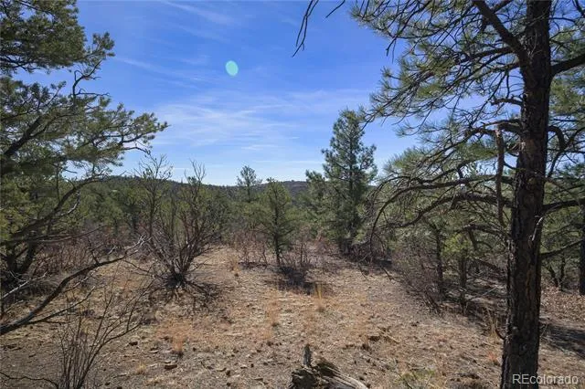 Rancho La Garita Lot 1129 Weston, CO 81091