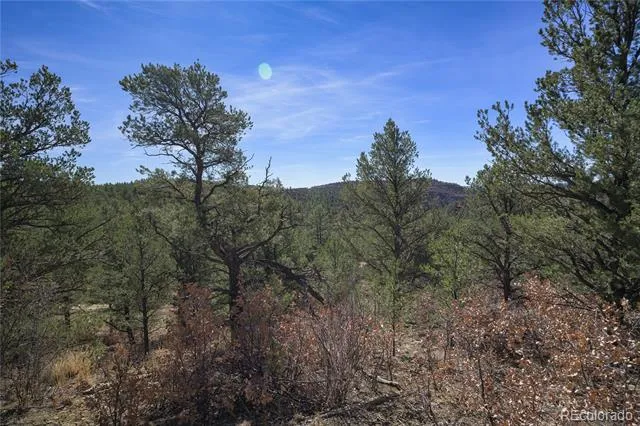 Rancho La Garita Lot 1129 Weston, CO 81091