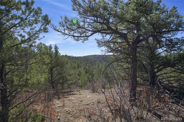 Rancho La Garita Lot 1129 Weston, CO 81091