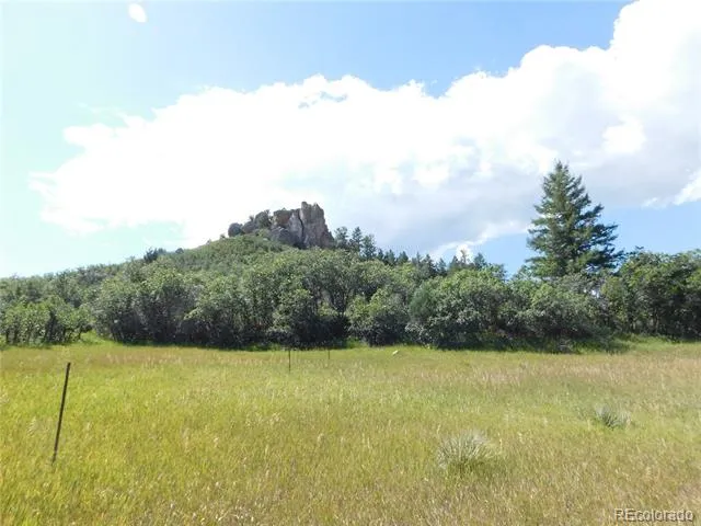 5905 Country Club Drive Larkspur, CO 80118