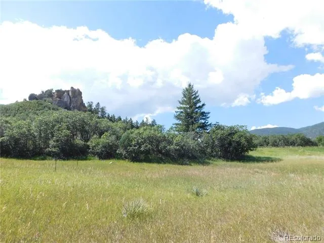 5905 Country Club Drive Larkspur, CO 80118