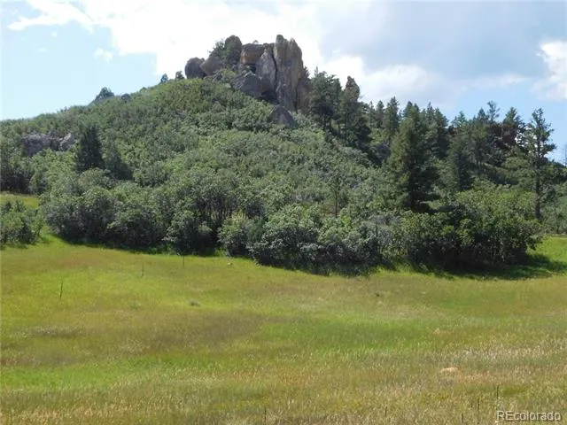 5905 Country Club Drive Larkspur, CO 80118