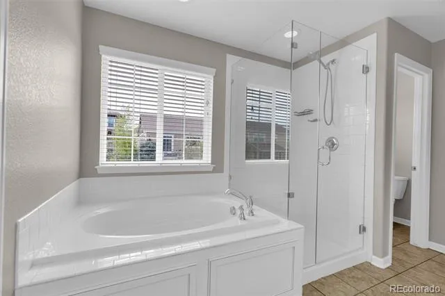 1990 Treetop Drive Castle Rock, CO 80109