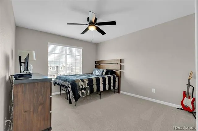 1990 Treetop Drive Castle Rock, CO 80109
