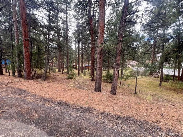 26698 De Berry Street Conifer, CO 80433