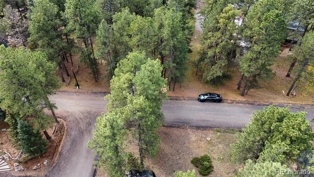 26698 De Berry Street Conifer, CO 80433